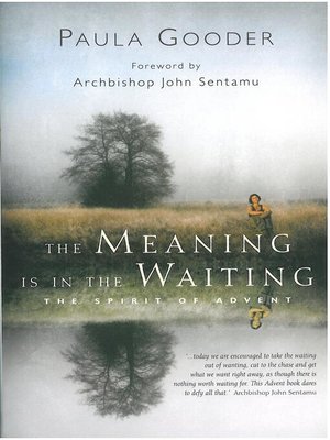 cover image of The Meaning is in the Waiting